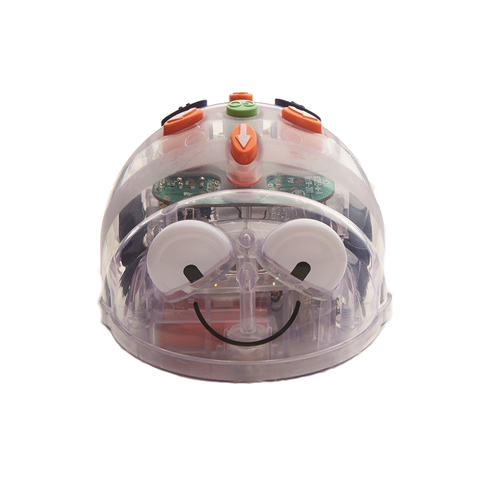 Bee bot shop blue bot